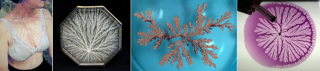 Evidence of physical processes which produce intricate branching structures.