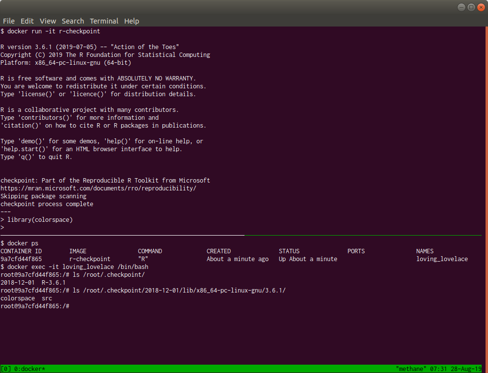 Terminal window showing connection to Docker container running R using packages installed on the image.
