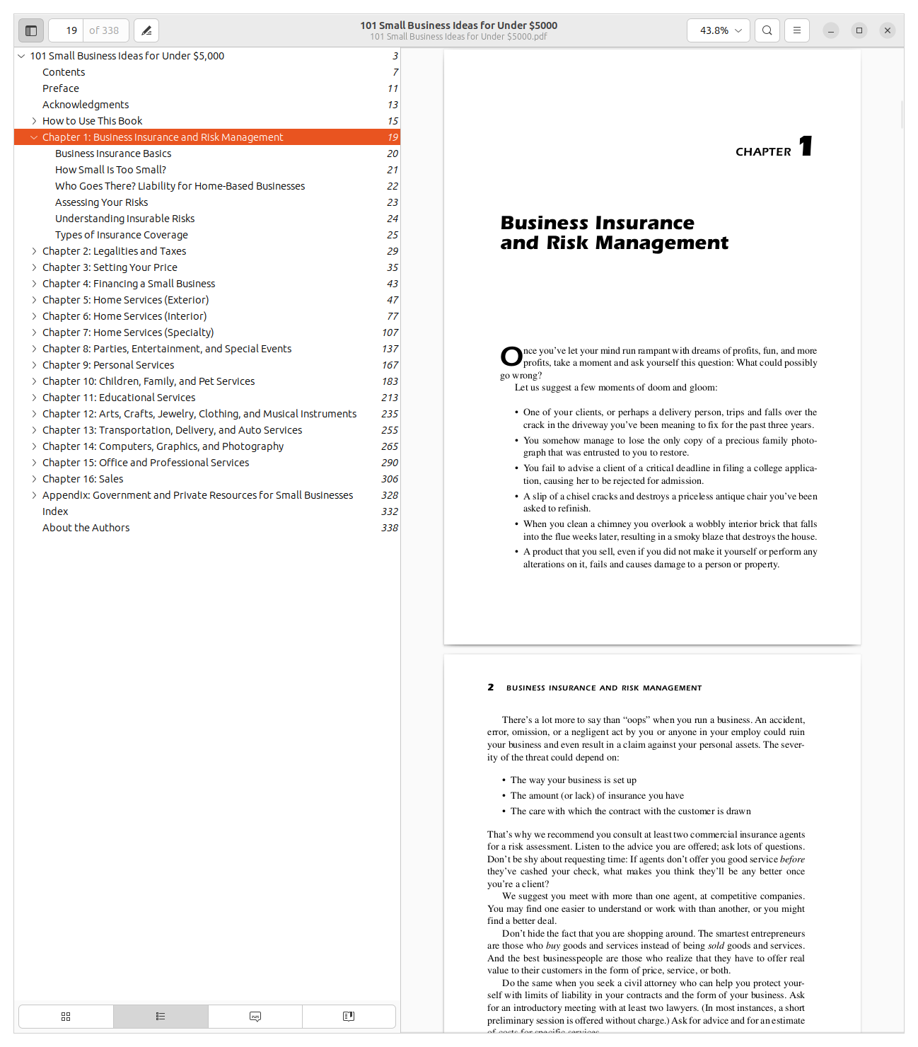A PDF viewer showing the book table of contents and Chapter 1 page for 101 Small Business Ideas for Under $5000.